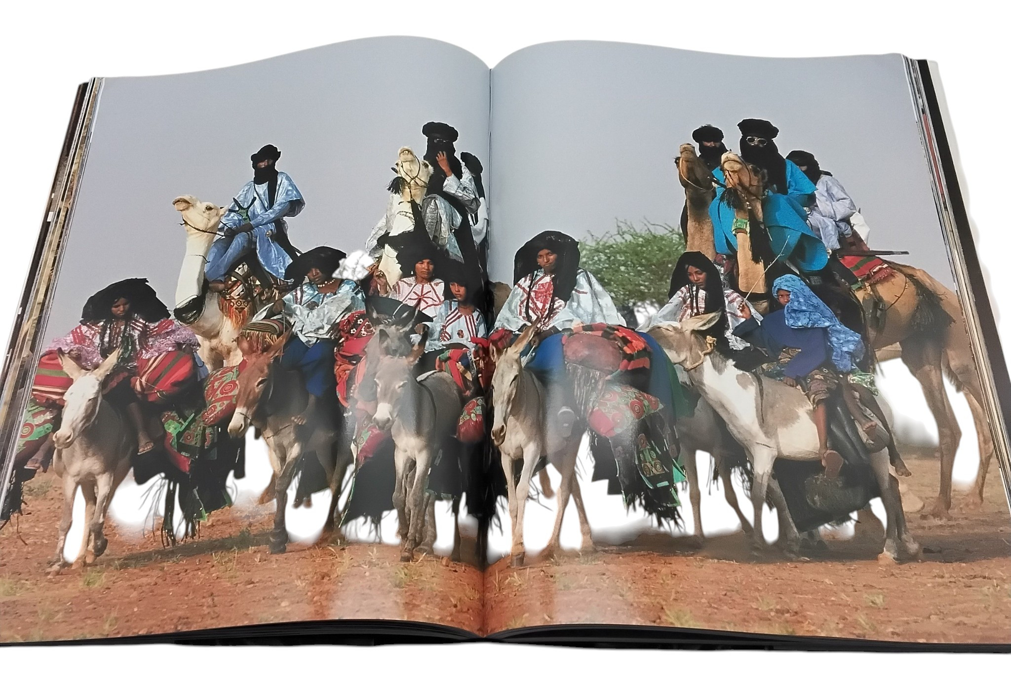 Livres - Cérémonies d'Afrique